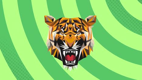 Animation-of-tiger-face-icon-against-radial-rays-in-seamless-pattern-on-green-background