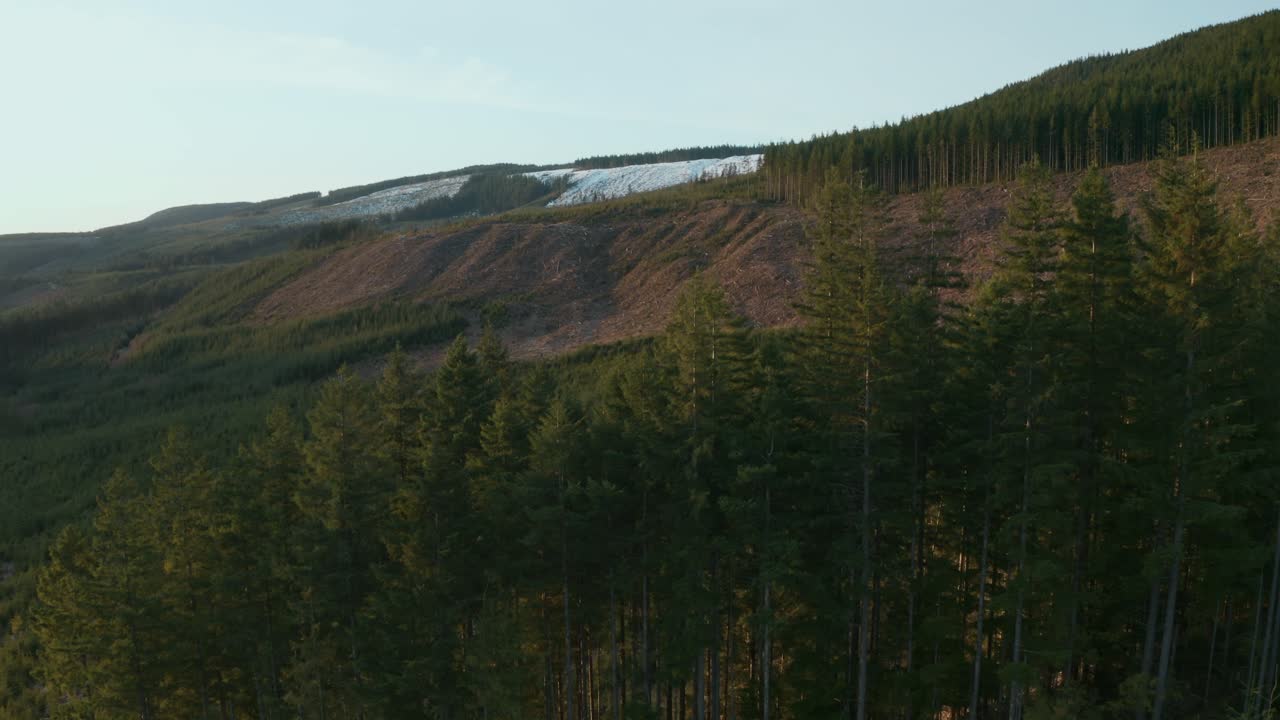 toma aérea que revela un nuevo claro