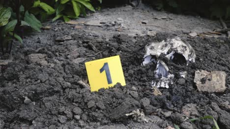 police forensic places evidence marker with human skull at crime scene
