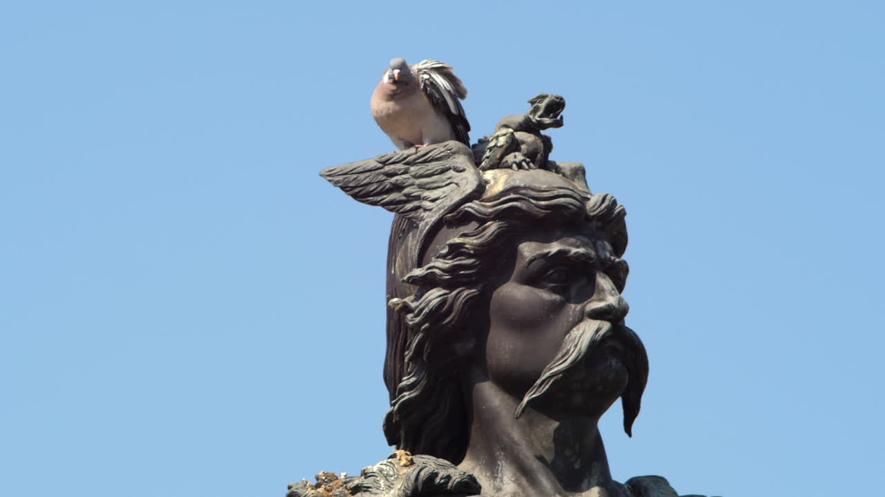 toma estática en cámara lenta de una paloma posada sobre la cabeza de la estatua de ambiorix, tongeren