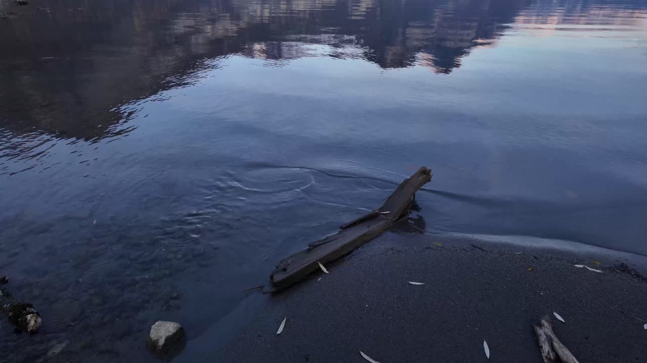 Driftwood lakeshore shallow water mountains reflection Walensee Lake Walen Switzerland