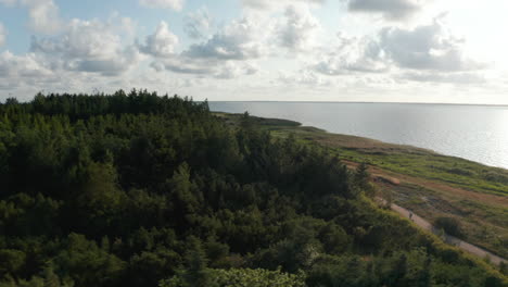 Aerial-footage-of-coastal-landscape-with-forest-and-walkway-along-sea-coast.-Group-of-wind-turbines-in-distance.-Denmark