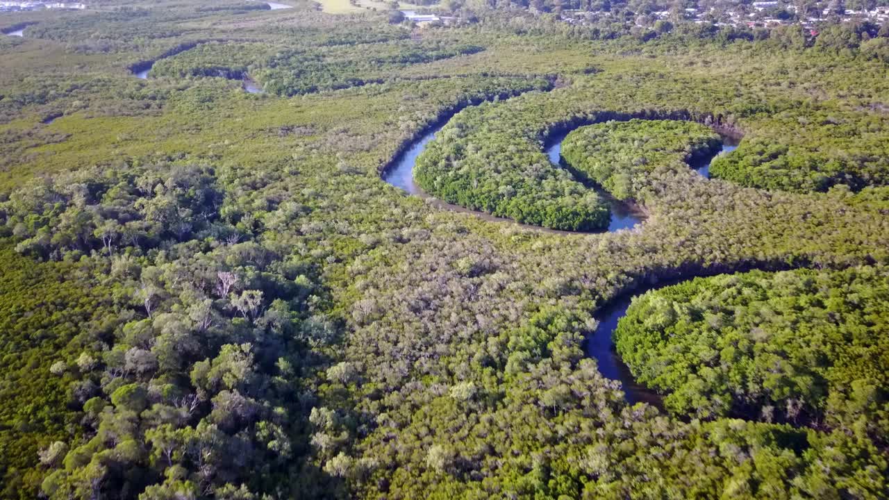 케언즈, 퀸즐랜드, 호주 근처 요키 노브에서 맹그로브와 하프문 크릭의 낮은 공중 영상