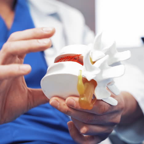 man in white medical coat gives a joint in artificial model to a doctor. specialist is holding a model of joint in healthcare clinic.