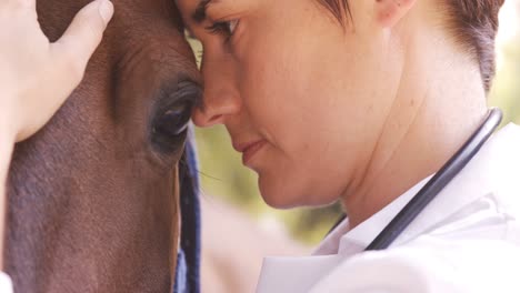 veterinario que se ocupa de un caballo