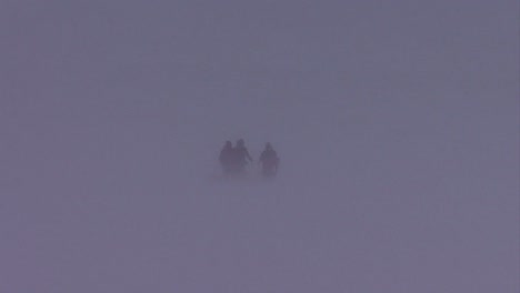 an arctic expedition is lost in a blizzard