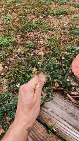 person holding small wildflowers