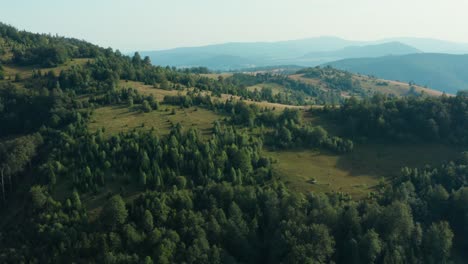 Beautiful-Radocelo-Mountain-With-Serbian-Spruce-In-Green-Forest-During-Spring-In-Serbia,-Europe