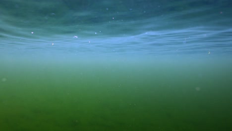 vista submarina del agua verde