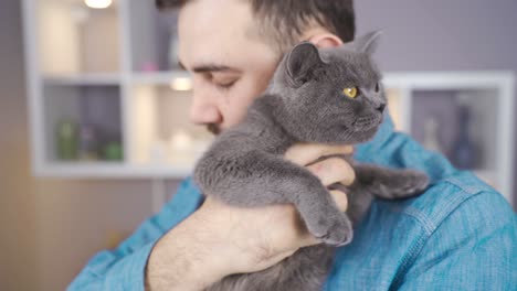 British-Cat-With-Big-Eyes.