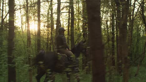 young girl riding horse in forest