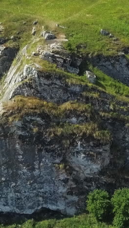 rocky outcrop with grass and wildflowers