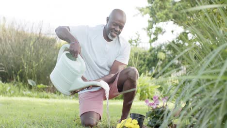 Glücklicher-Afroamerikanischer-älterer-Mann,-Der-Im-Sonnigen-Garten-Gärtnert,-Zeitlupe