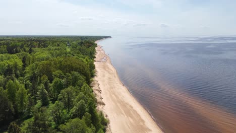 aerial shot of tūja, latvia, showing a sandy beach and the baltic sea bordered by mixed forest with conifers and broadleaf trees, on a clear spring day, drone panning