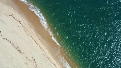 Rotating-birds-eye-top-aerial-drone-shot-of-the-tropical-Rio-Grande-do-Norte,-Brazil-coastline-with-golden-sand,-turquoise-clear-water,-and-small-calm-waves-in-between-Baia-Formosa-and-Barra-de-Cunha?
