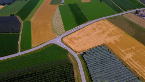 Static-Shot-Of-Agriculture-Green-Fields,-Countryside-Near-Turin,-Italy