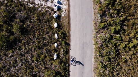 cyclist on mtb bicycle rides on asphalt road through fynbos shrubland vegetation