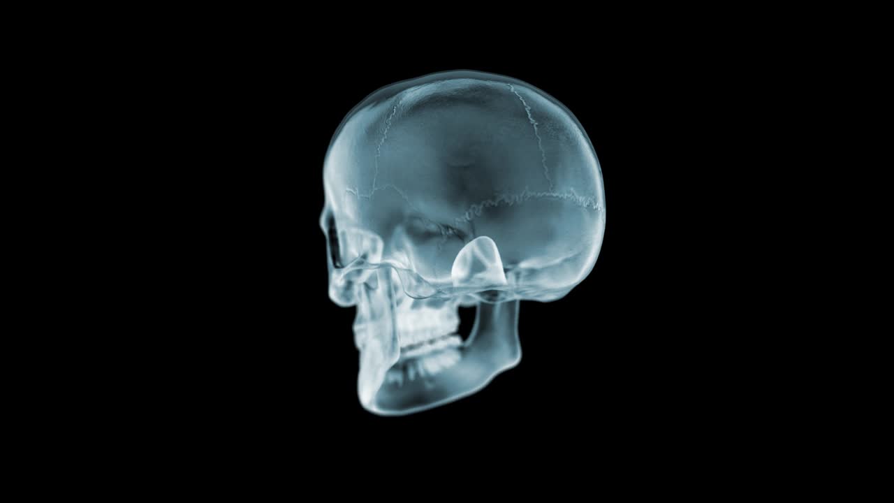 rayo x del cráneo girando. bucle. animación en 3d.