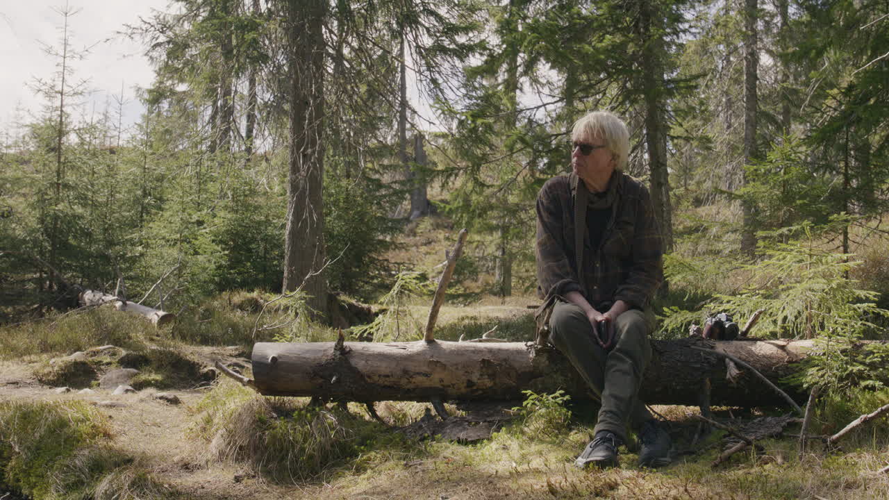 Elderly man sitting quietly on a fallen log in a dense forest clearing, surrounded by soft moss and pine trees with sunlight filtering through, suggesting peaceful solitude and deep contemplation