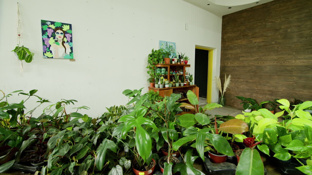 hermoso interior de la tienda de plantas