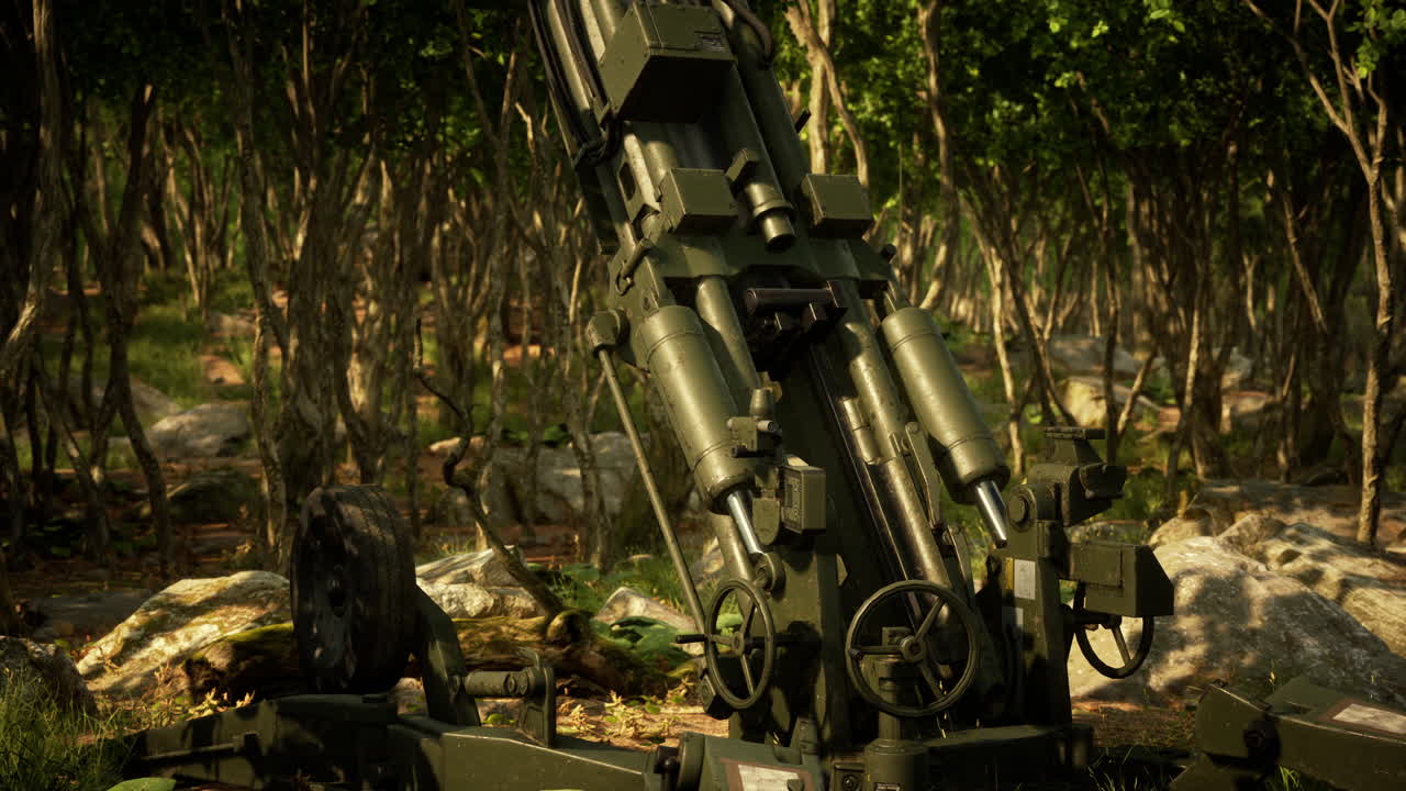 숲 속의 큰 대포