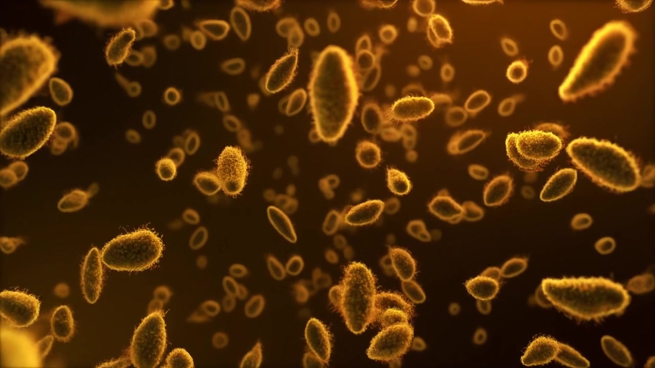Vista microscopica di batteri che galleggiano in un fluido