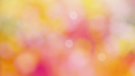 abstract autumn background bokeh video