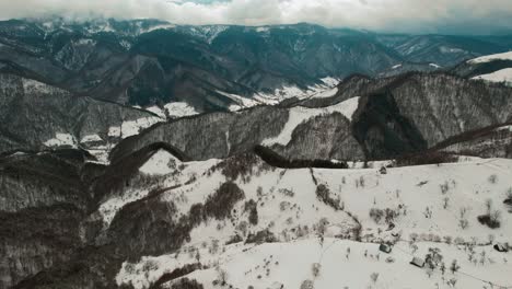 majestuosa vista de las montañas de ceniza con picos cubiertos de nieve bajo un cielo azul claro, vegetación vibrante en primer plano