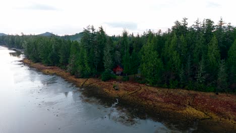 drone shot of tofino on vancouver island displaying autumn colors, rugged coastline, and ocean waves in a scenic aerial view.