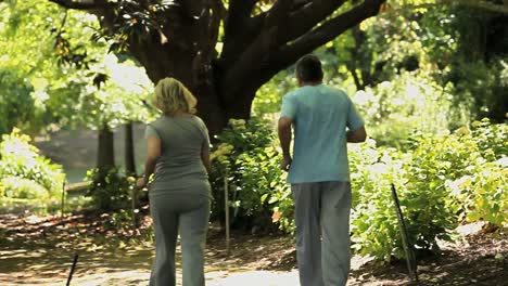 pareja de ancianos corriendo en el bosque