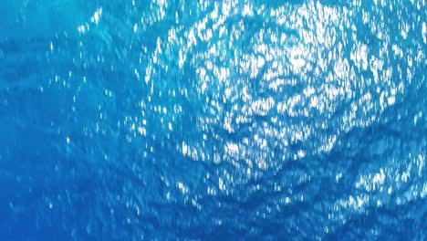 drone top down perspective from fringing reef coral reef sandy water to deep blue drop off ocean