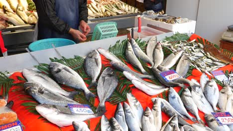 fresh sea bass for sale at a turkish fish market