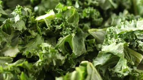 curly kale fresh green leaves rotating turning rund macro closeup