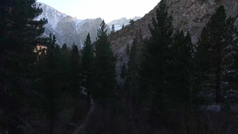 Aerial-view-of-pines-and-mountains-at-East-Sierra-Nevada-in-California-where-Inyo-National-Forest-Big-pine-lakes-hiking-loop-and-Kings-Canyon-National-Park-meet