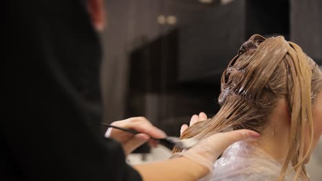 hair stylist dyes her hair with a bone on thin str 4k 2025 07 22 03 47 00 utc.mov | adult, adults only, barber, barber shop