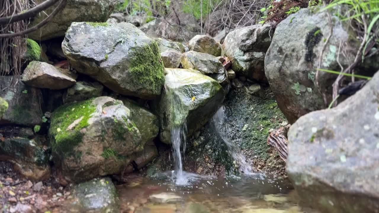 A little spring in the mountains of Cape Town, South Africa