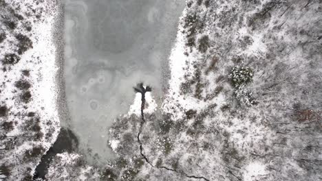 el dron del lago de invierno levanta el video en 4k