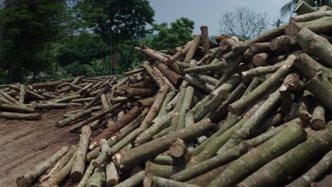pile of wood