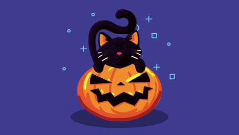 animazione di halloween felice con gatto e zucca