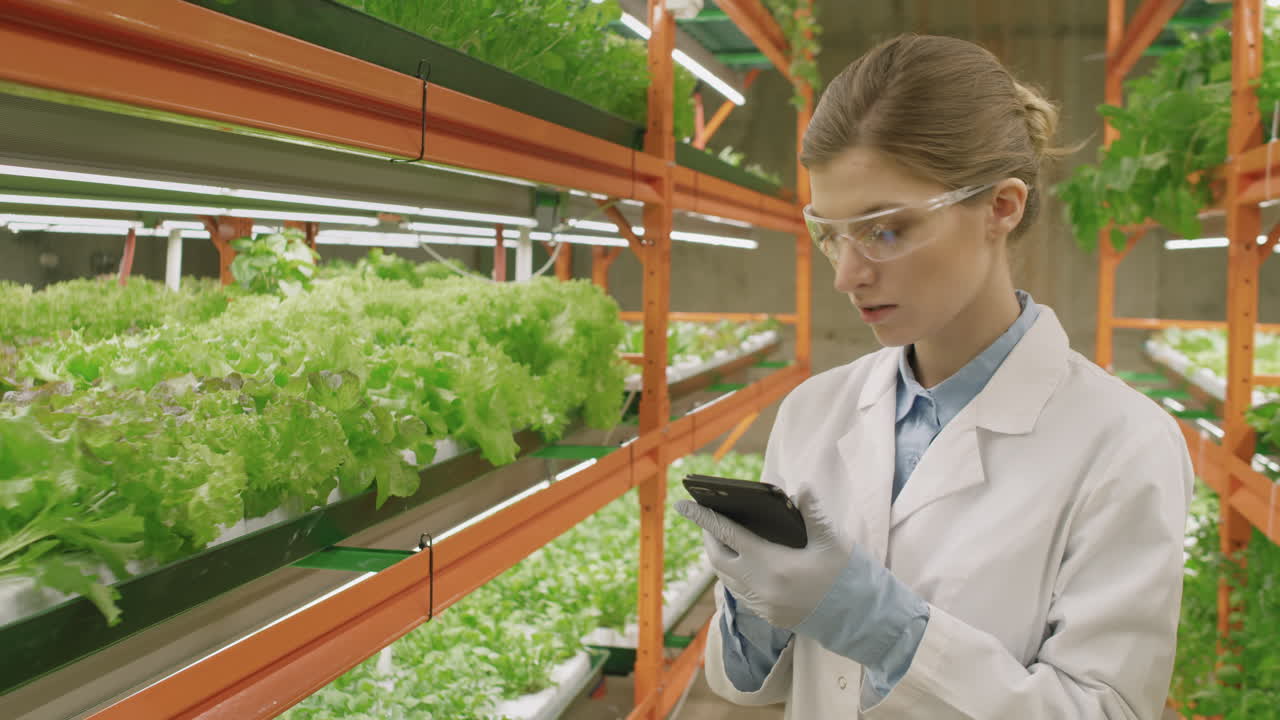 Female Botanist With Smartphone At Vertical Farm