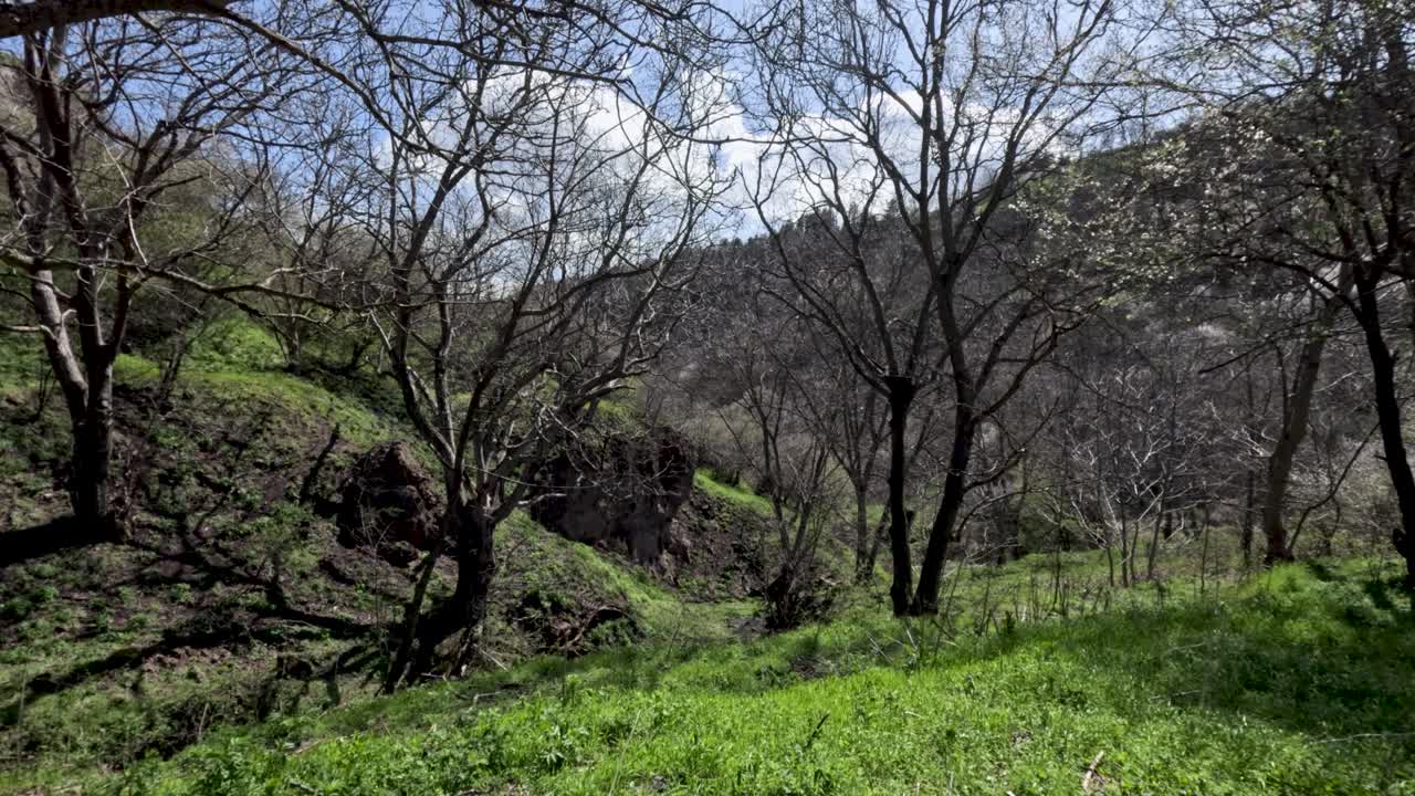 Persone camminano in uno spazio verde con alberi spogli ed erba fresca. Il sole splende luminoso sotto il cielo blu. La natura mostra la sua bellezza mentre la primavera arriva con nuova vita