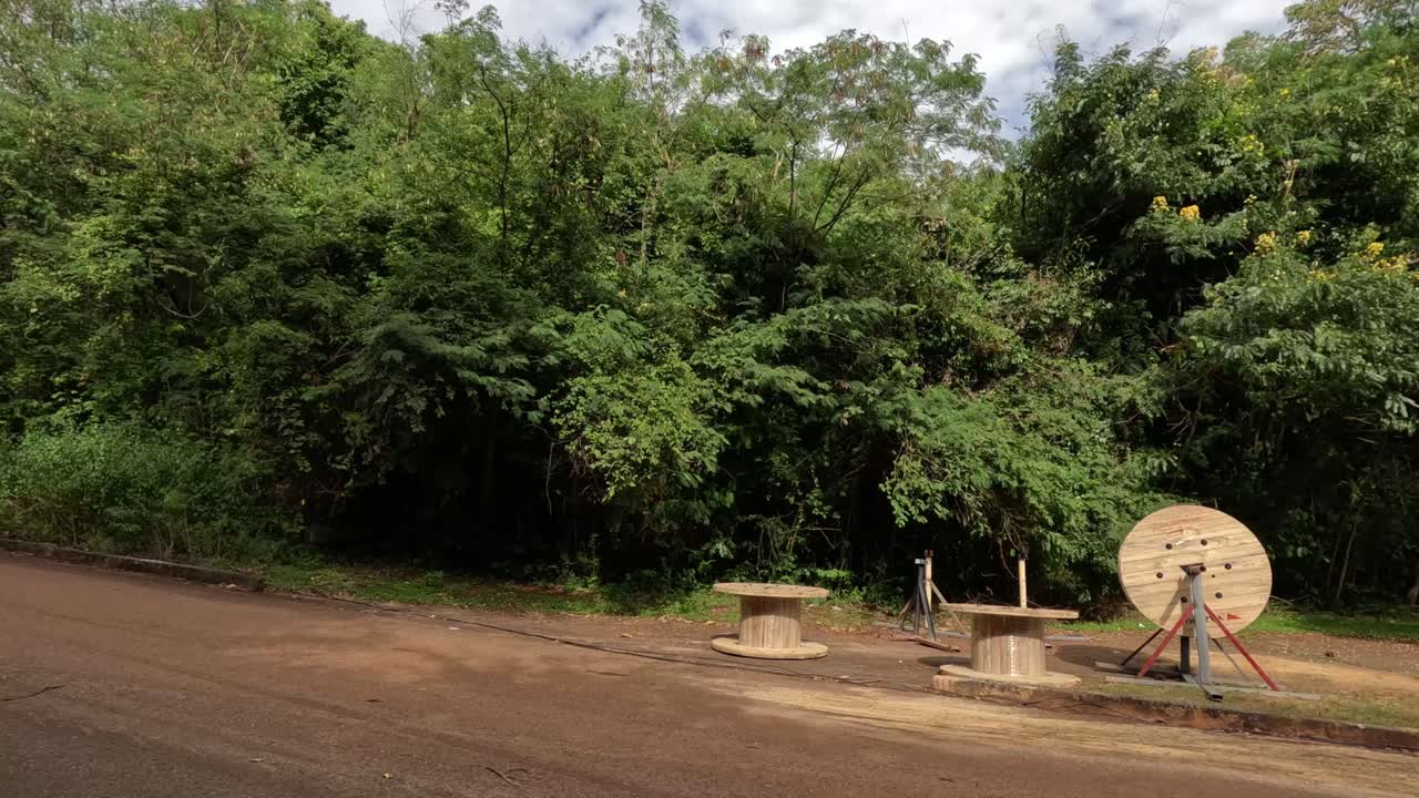 el elefante camina a través de la carretera en el denso bosque.