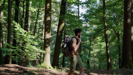 un excursionista en un bosque