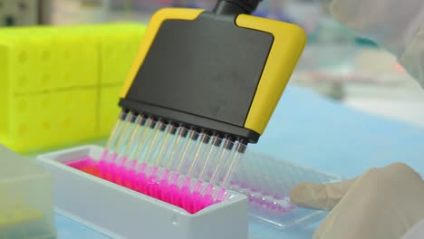 scientist handling laboratory multichannel microliter pipette