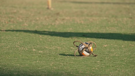 pato rider leans down to pick up six handle leather ball in pato game