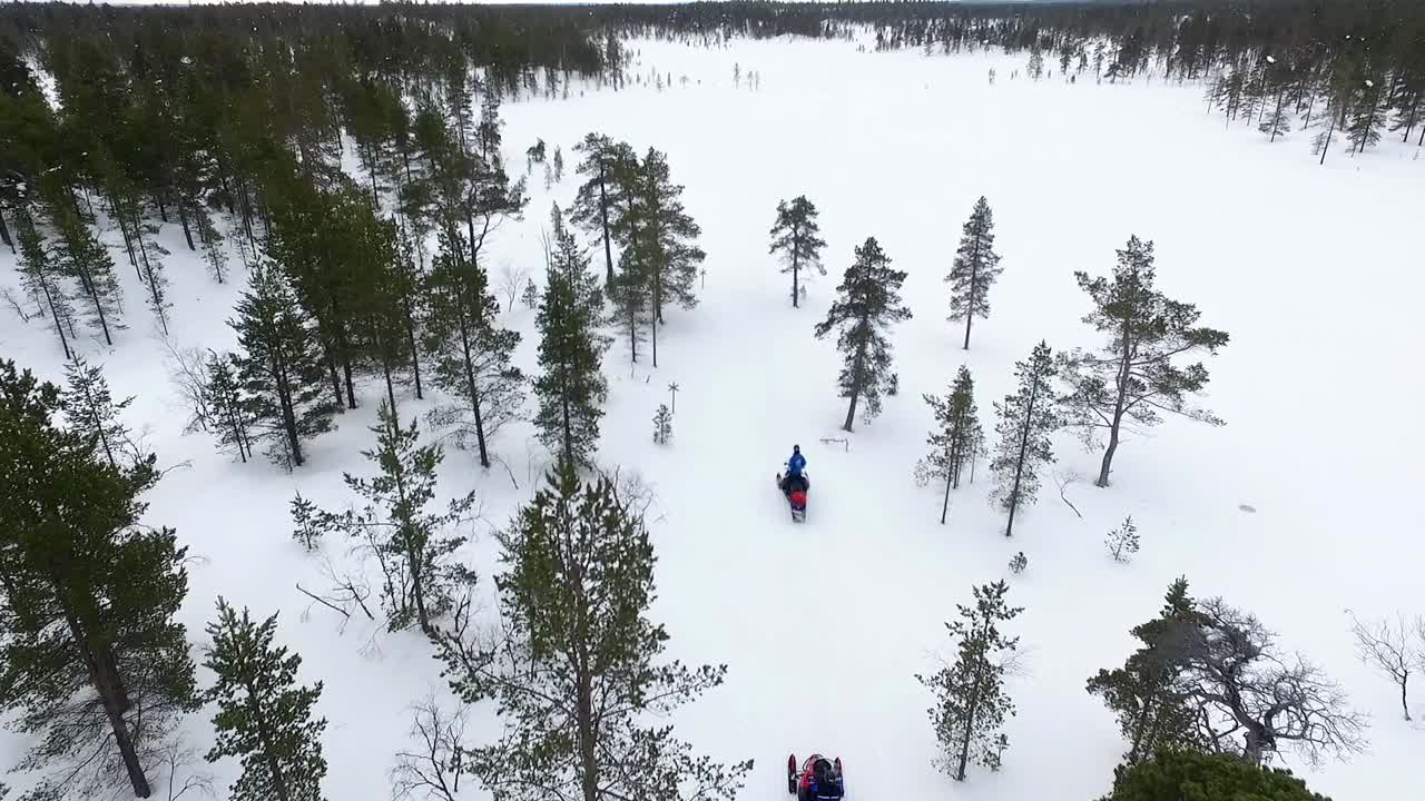 Motoslitte in una foresta innevata
