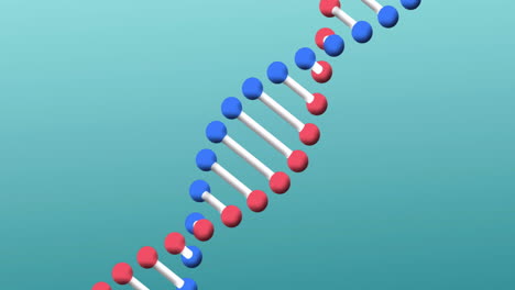 Animation-Eines-DNA-Strangs,-Der-Sich-über-Blauem-Hintergrund-Dreht