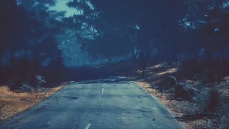 asphalt road through the deep forest