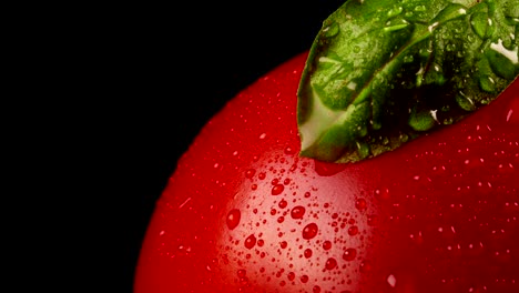 macro view of wet tomato with basil leaves.