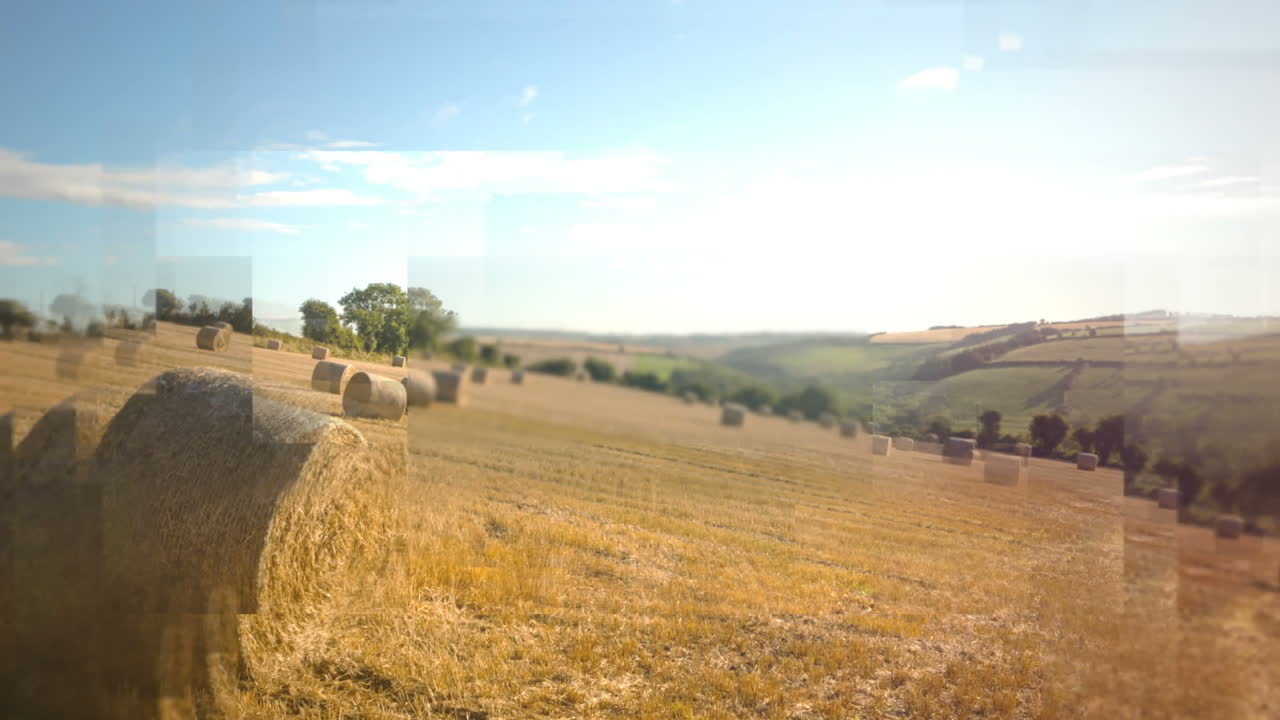 цифрово сгенерированное видео сена в поле 4k